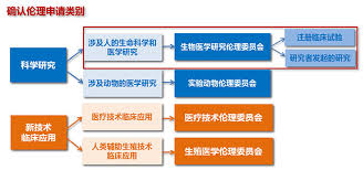活体成像技术伦理审查的核心要点与国际标准对标